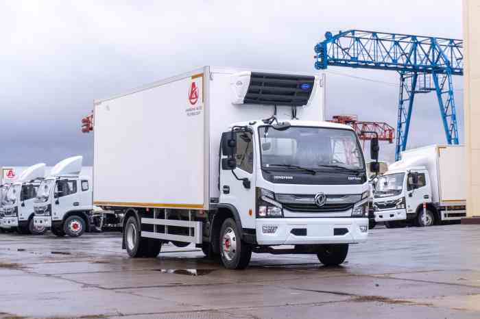 DONGFENG C120M Рефрижератор SAT LAMBO