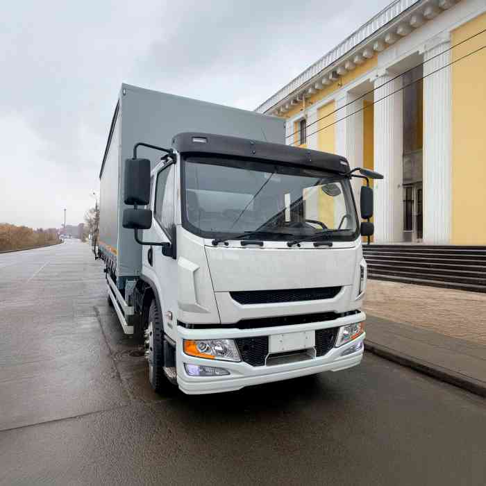 AMBERTRUCK Эс Эм (SM) 120 Шторник Смартэко